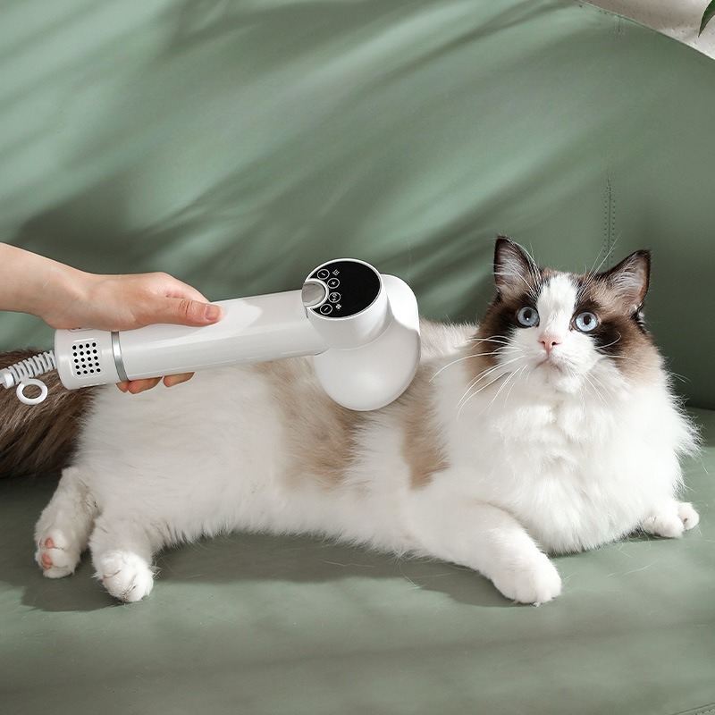 Pet Smart Elektrische Trockner – Pet Supplies And More Bewertung und Preis