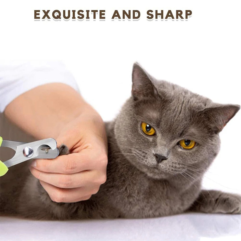 Professioneller Haustier-Nagel – Pet Supplies And More Bewertung und Preis