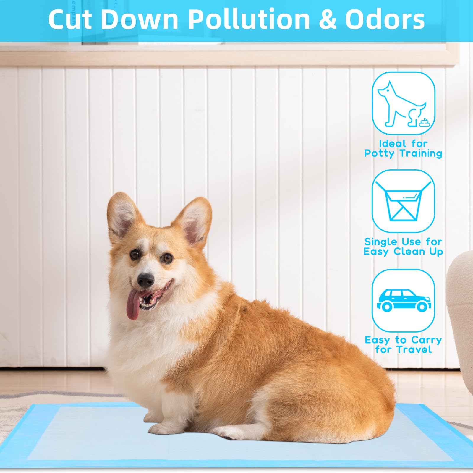 Auslaufsichere Pipi-Pads für H – Pet Supplies Uk Bewertung und Preis
