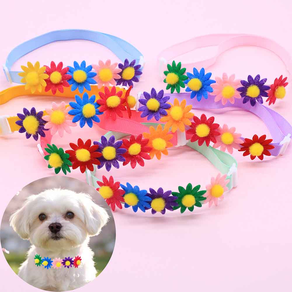50 Stück bunte Hundeschleifen, – Pet Supplies Coupon Bewertung und Preis