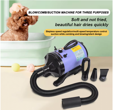 2800W Hochleistungs-Hundehaart – Pet Supplies And More Bewertung und Preis