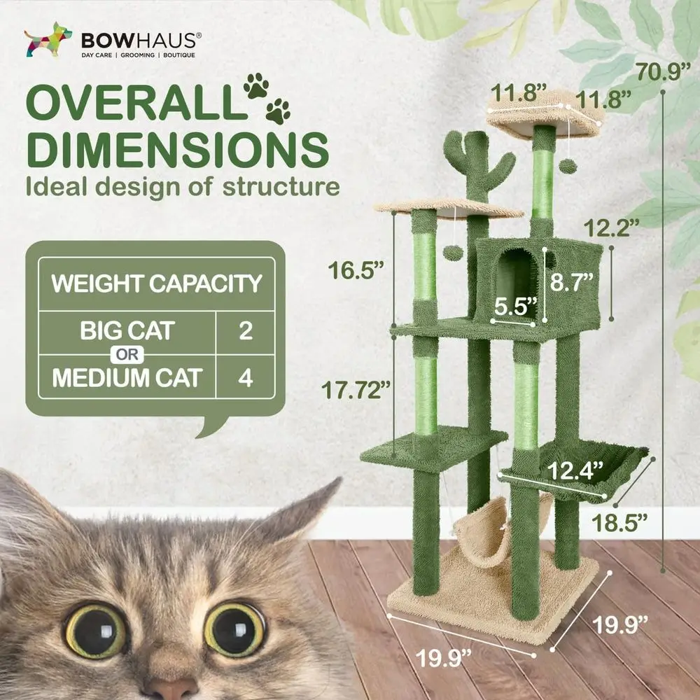 Mehrstöckiger 70-Zoll Kaktus-K – Cat Scratching Post Bewertung und Preis