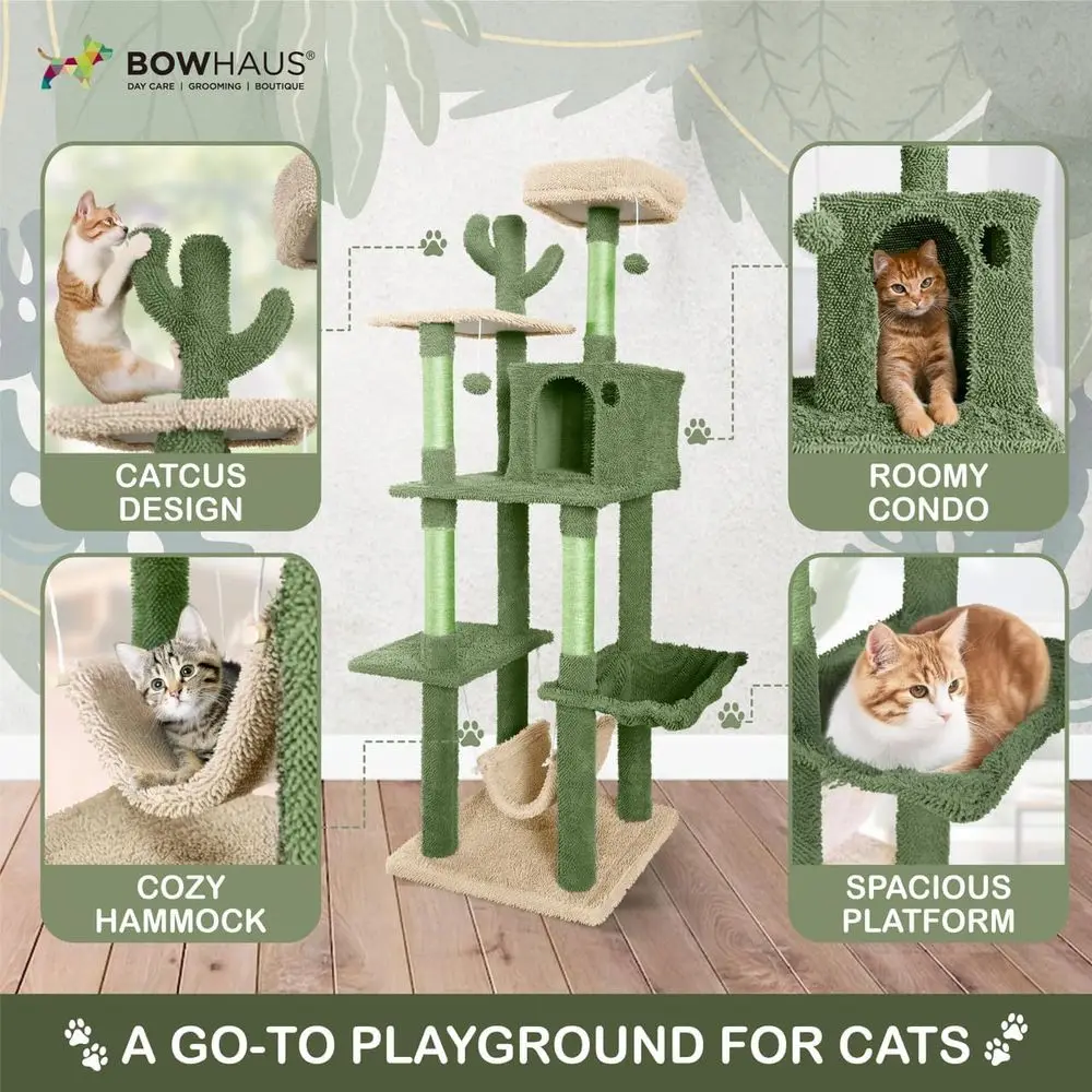 Mehrstöckiger 70-Zoll Kaktus-K – Cat Scratching Post Bewertung und Preis