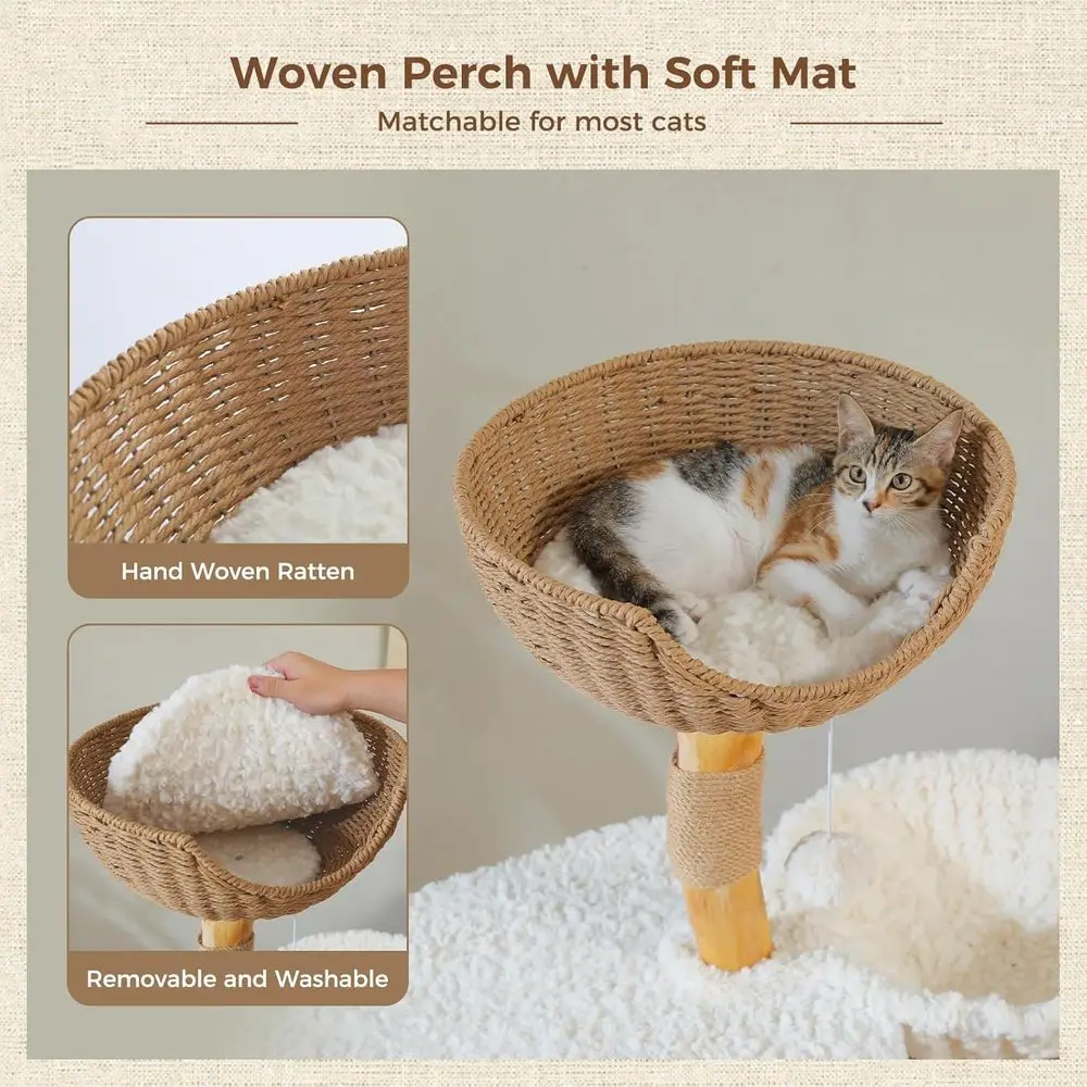 48,5 cm Großer Massivholz-Katz – Cat Scratching Post Bewertung und Preis
