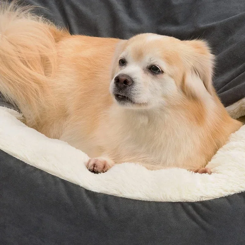 Halb geschlossener Hundezwinge – Calming Dog Bed Bewertung und Preis