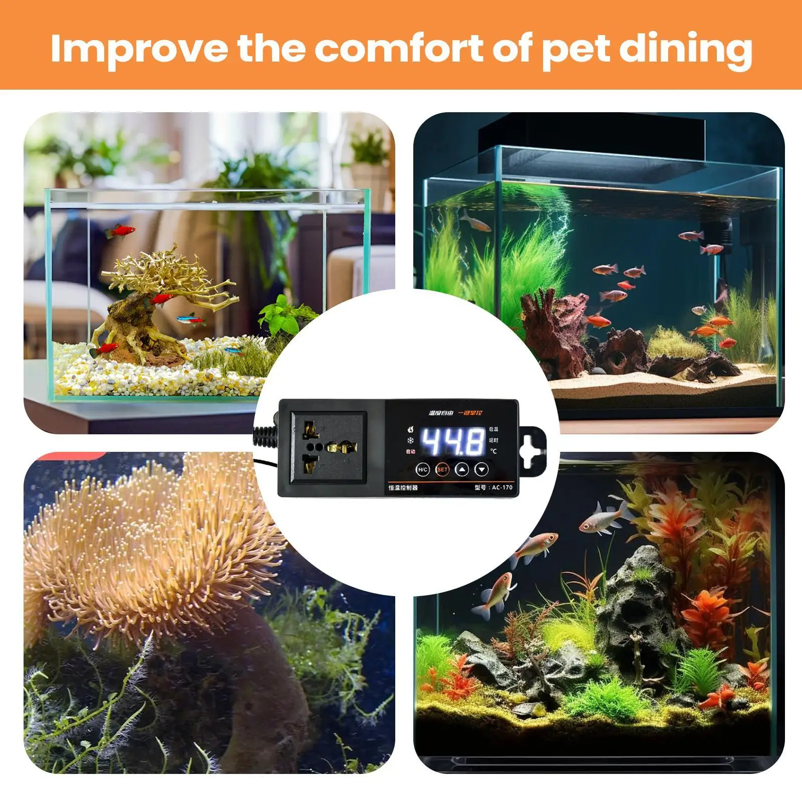 Thermostat für Reptilien-Terra – Pet Supplies Uk Bewertung und Preis