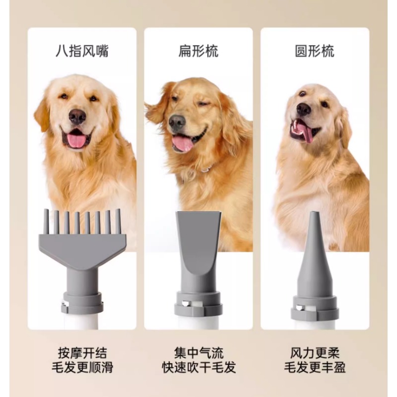 Intelligente Haustier-Trocknun – Pet Supplies And More Bewertung und Preis