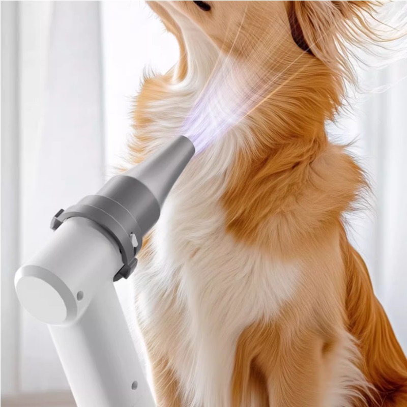 Intelligente Haustier-Trocknun – Pet Supplies And More Bewertung und Preis