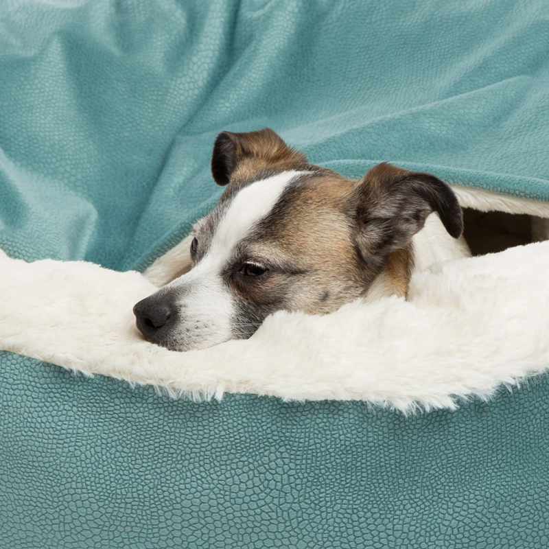 Benepaw Orthopädische Hund Bet – Calming Dog Bed Bewertung und Preis