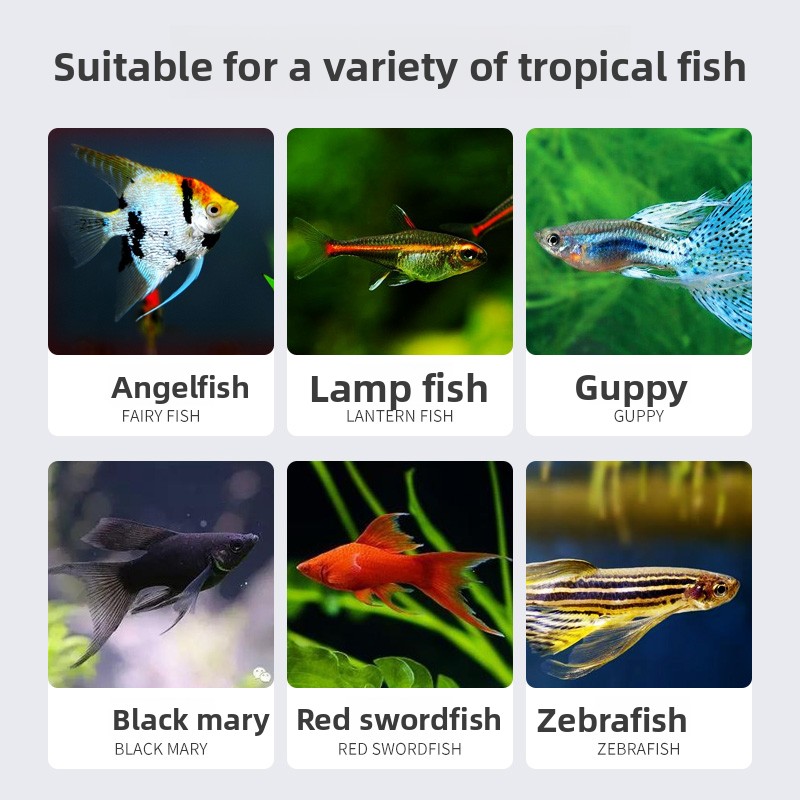 SUNSUN Premium Tropical Fish F – Tetra Food Tropical Flakes Bewertung und Preis