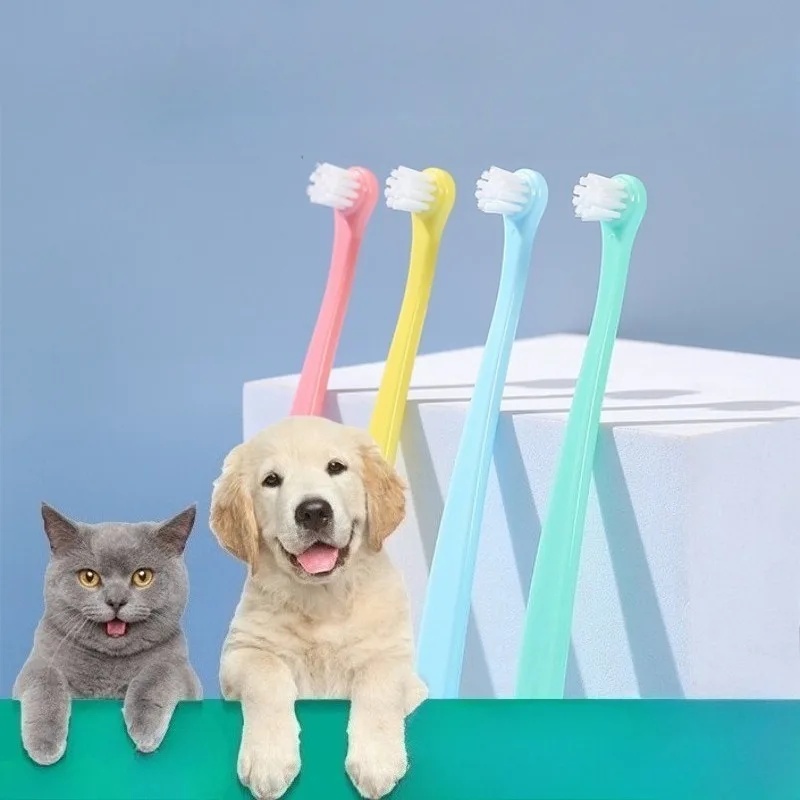 Hundezahnbürste mit Kleinem Bü – Pet Supplies Coupon Bewertung und Preis