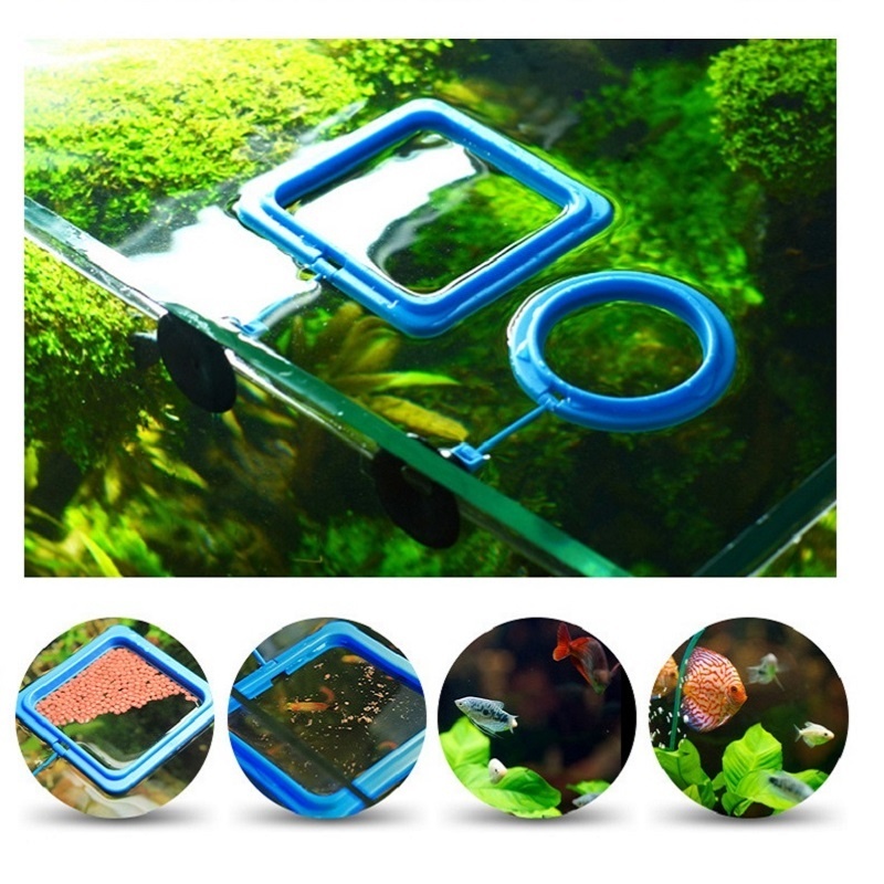Fisch Fütterung Ring Feeder An – Tetra Food Tropical Flakes Bewertung und Preis