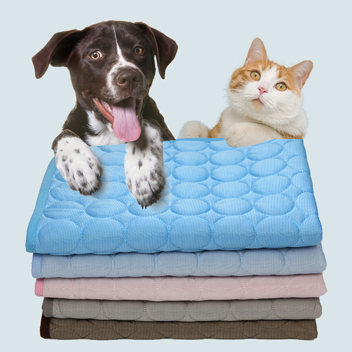 Haustier-Kühlmatte für den Som – Calming Dog Bed Bewertung und Preis