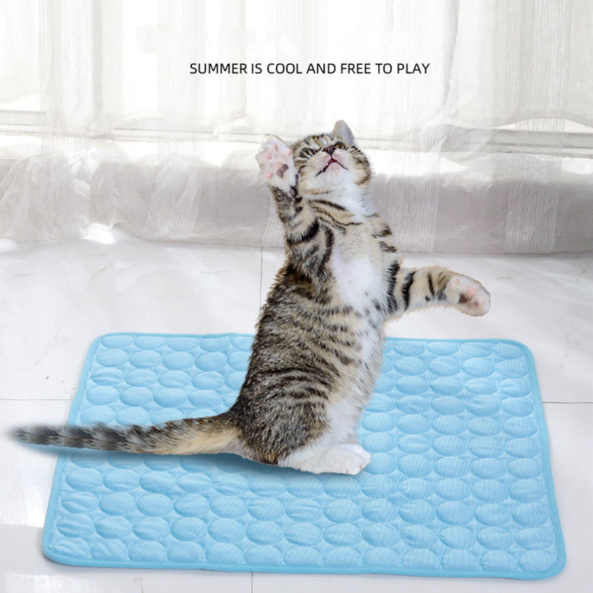 Haustier-Kühlmatte für den Som – Calming Dog Bed Bewertung und Preis