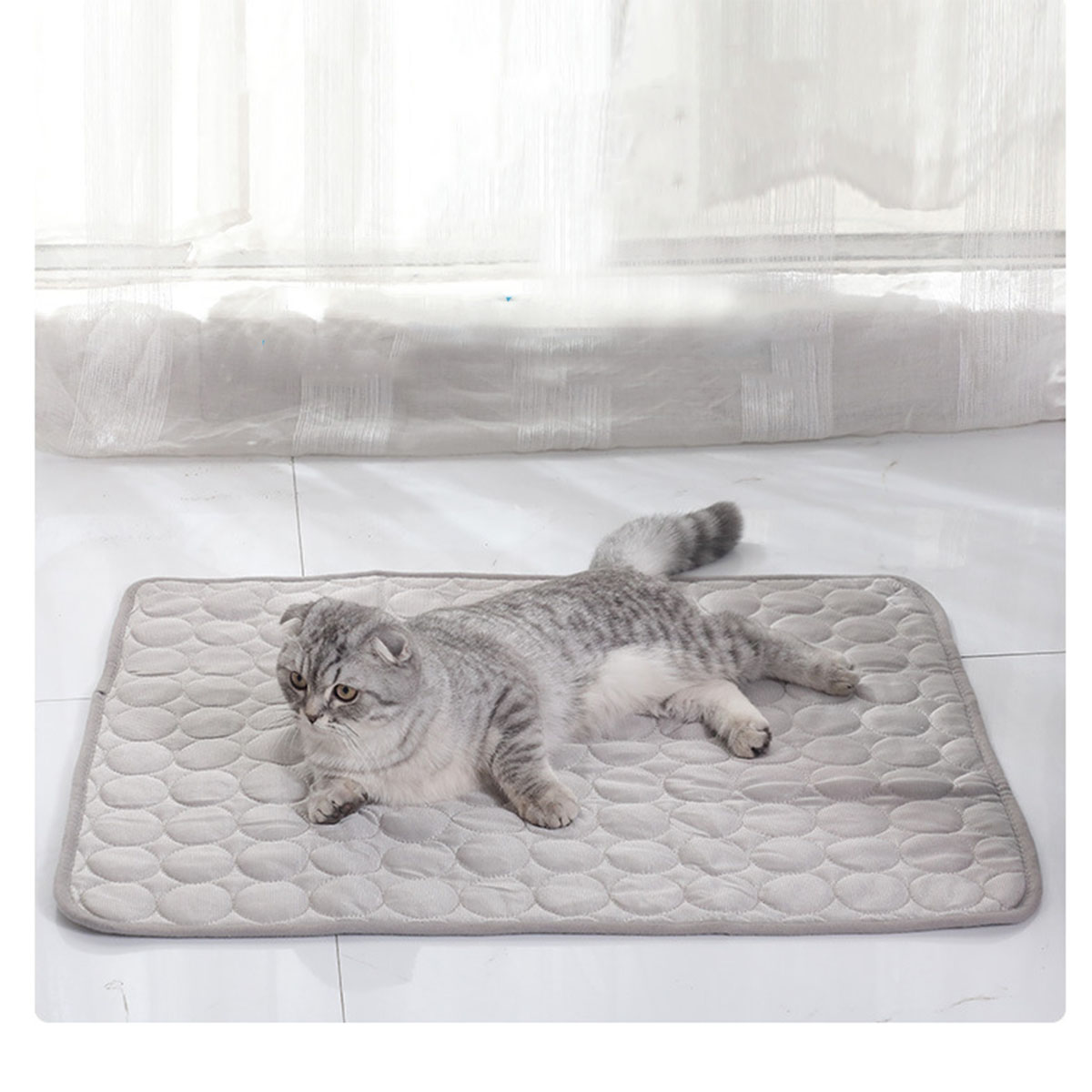 Haustier-Kühlmatte für den Som – Calming Dog Bed Bewertung und Preis