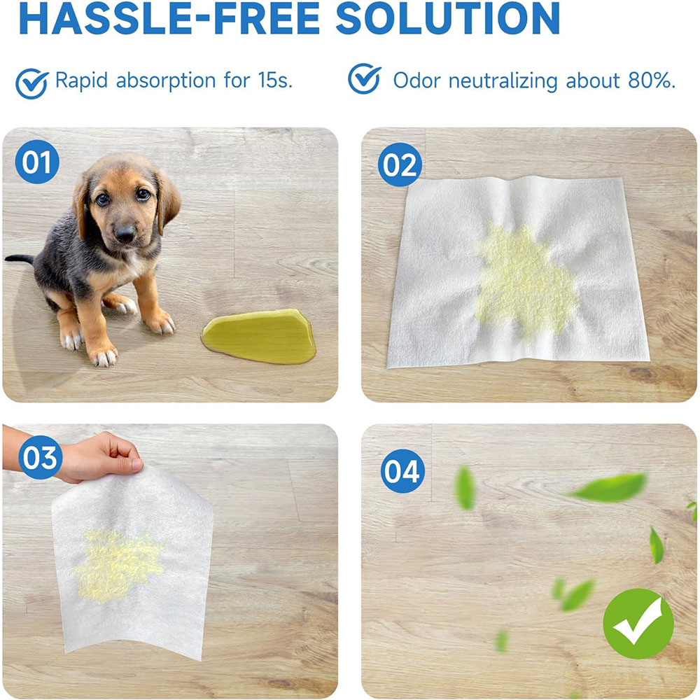 100 Teile/beutel Hund Urin Abs – Pet Supplies Uk Bewertung und Preis