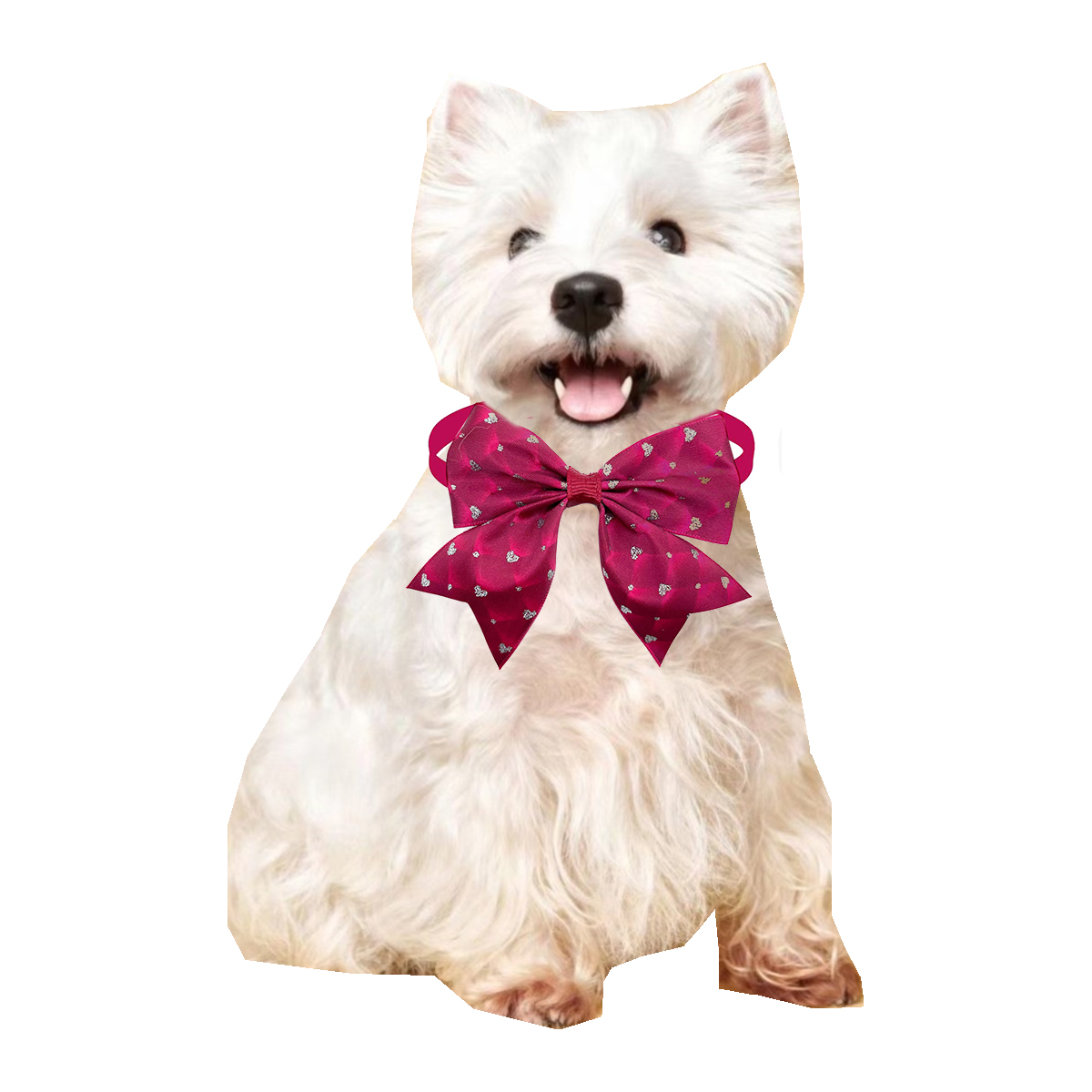 50/100 stücke Hund Fliege Lieb – Pet Supplies Coupon Bewertung und Preis