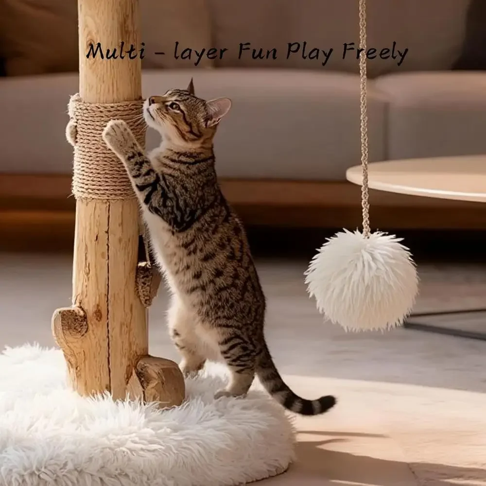 Indoor-Katzenbaum mit Natürlic – Cat Scratching Post Bewertung und Preis