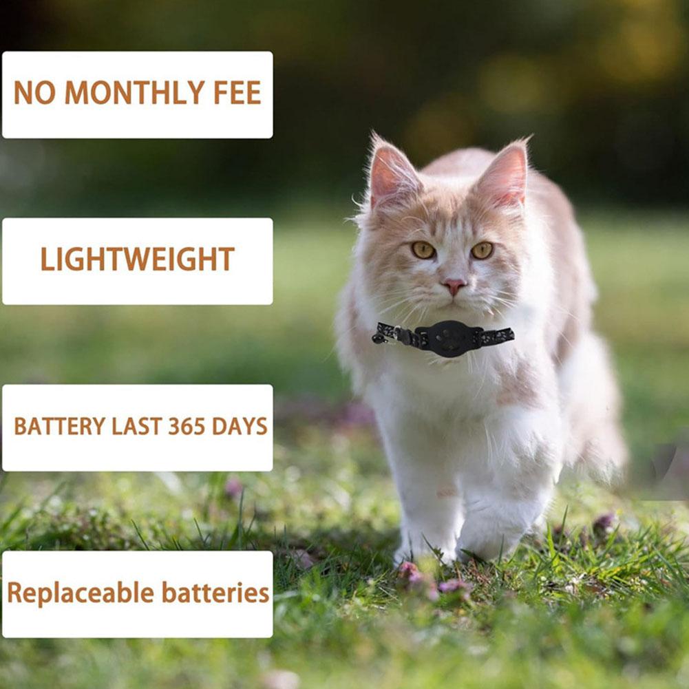Kreative Katze Pfote Design Ha – Pet Supplies Locations Bewertung und Preis