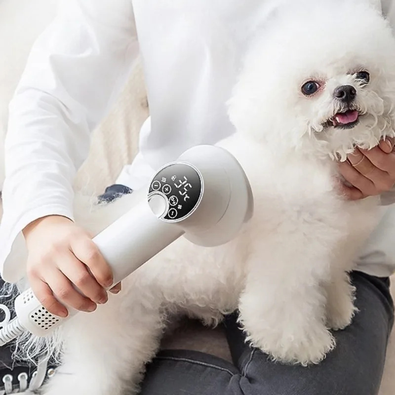 Professionelle Pet Haar Trockn – Pet Supplies And More Bewertung und Preis