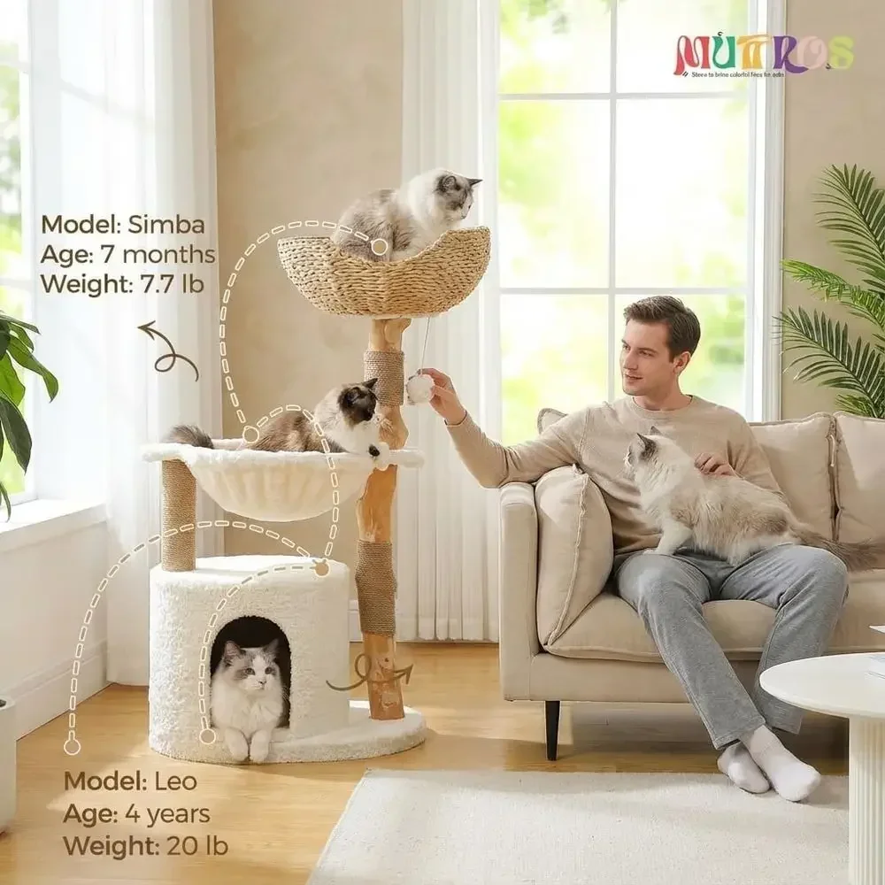 Großer Gemütlicher Kratzbaum m – Cat Scratching Post Bewertung und Preis
