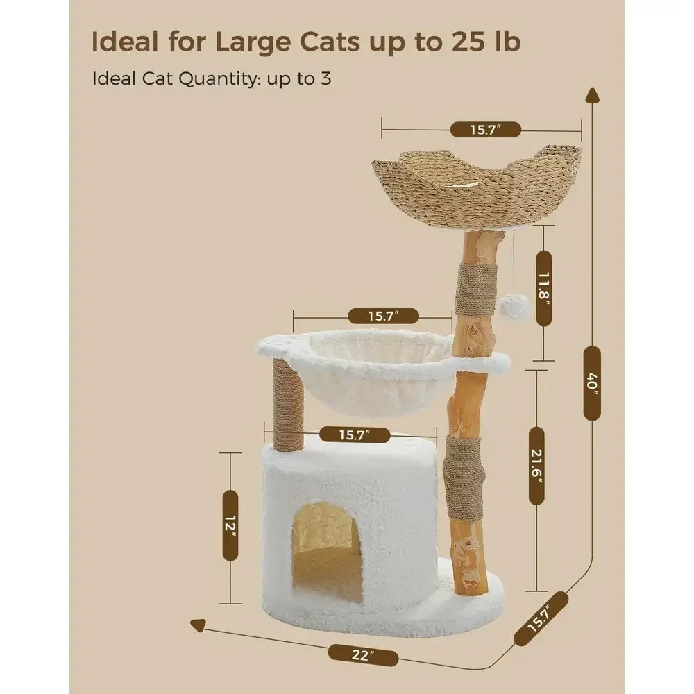 Großer Gemütlicher Kratzbaum m – Cat Scratching Post Bewertung und Preis