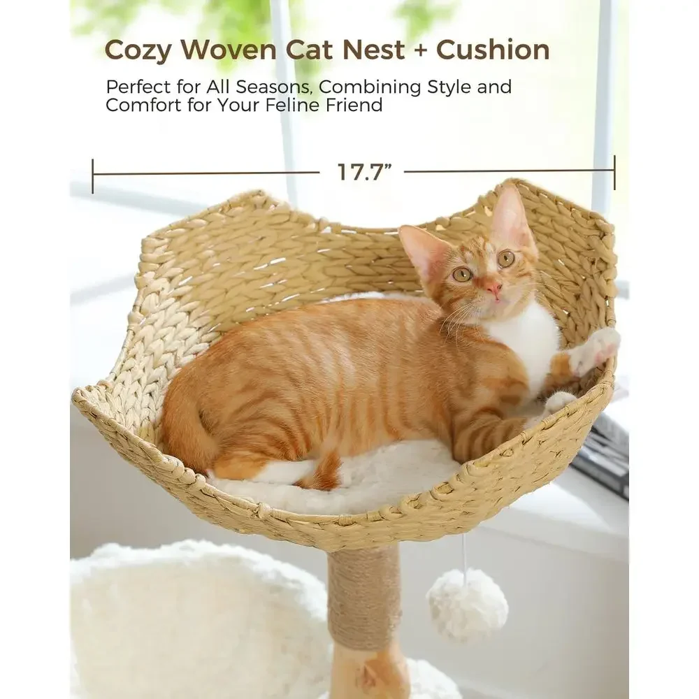Großer Gemütlicher Kratzbaum m – Cat Scratching Post Bewertung und Preis