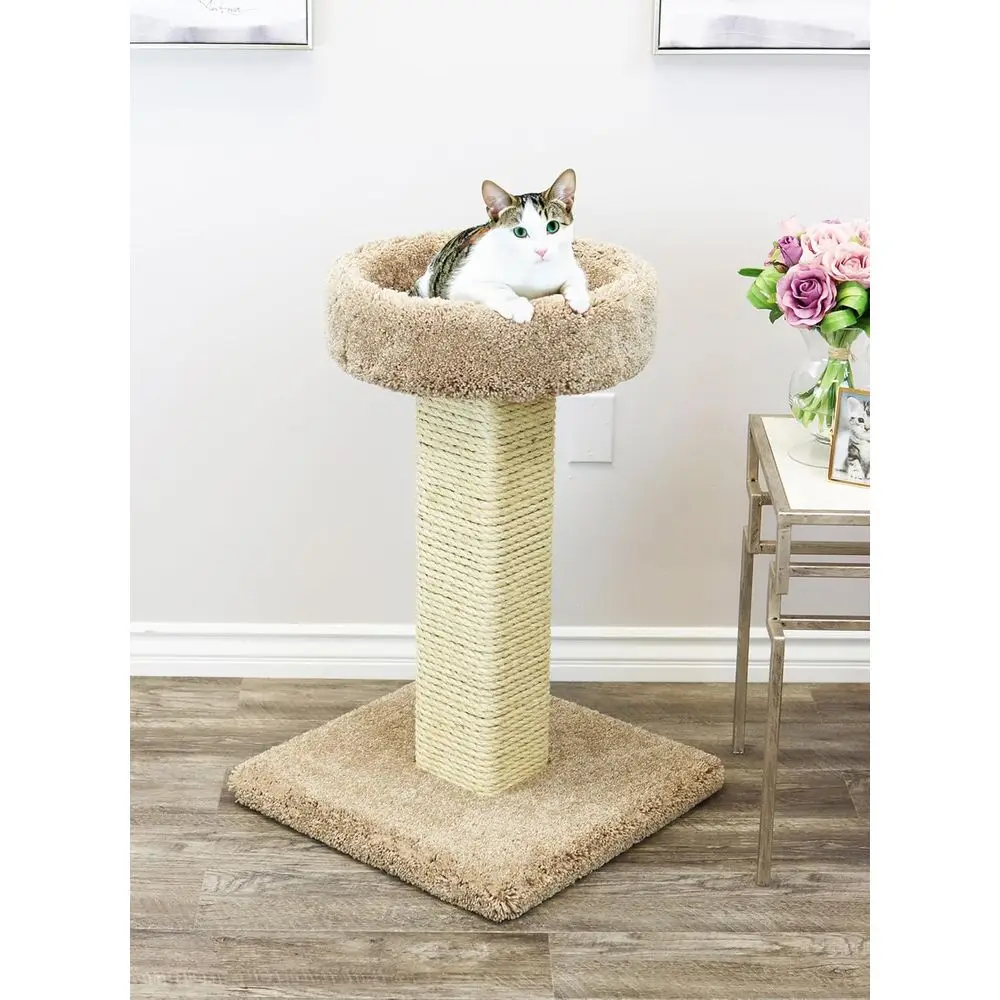 Großer Massivholz-Kratzbaum mi – Cat Scratching Post Bewertung und Preis
