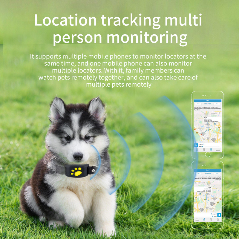 GPS-Haustier-Tracker mit Beido – Pet Supplies Locations Bewertung und Preis