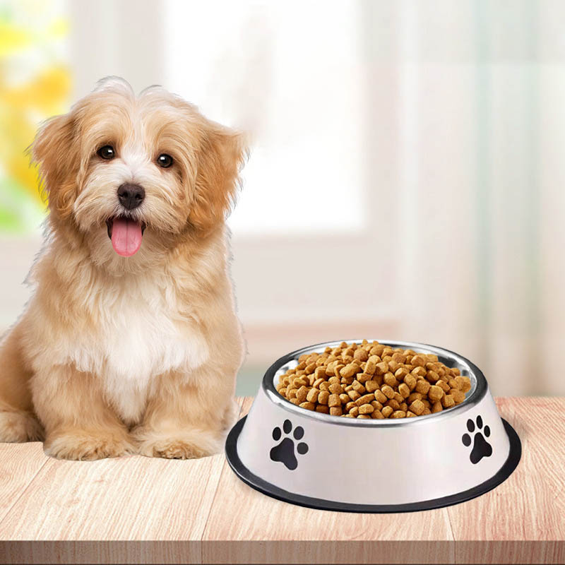 Edelstahl-Futterschüssel für H – Pet Supplies Coupon Bewertung und Preis
