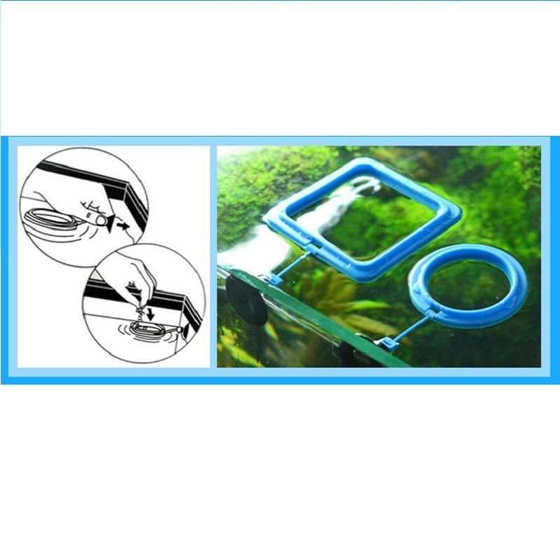 Fisch Fütterung Ring Feeder An – Tetra Food Tropical Flakes Bewertung und Preis
