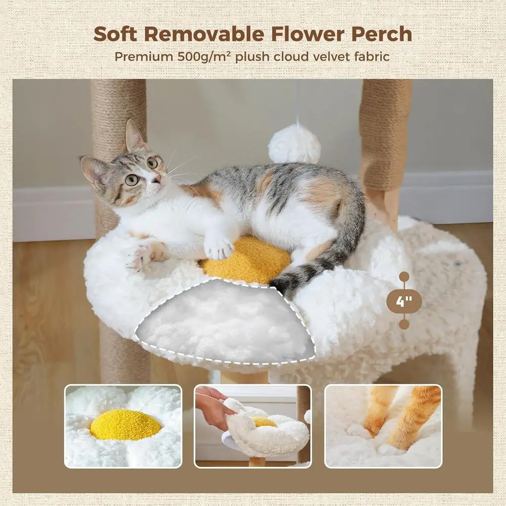 48,5 cm Hoher Massivholz-Katze – Cat Scratching Post Bewertung und Preis
