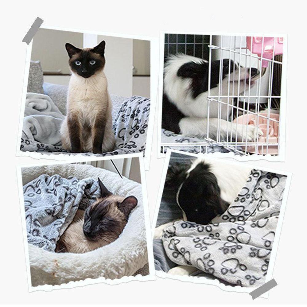 Winterweiche Hundedecke Waschb – Calming Dog Bed Bewertung und Preis