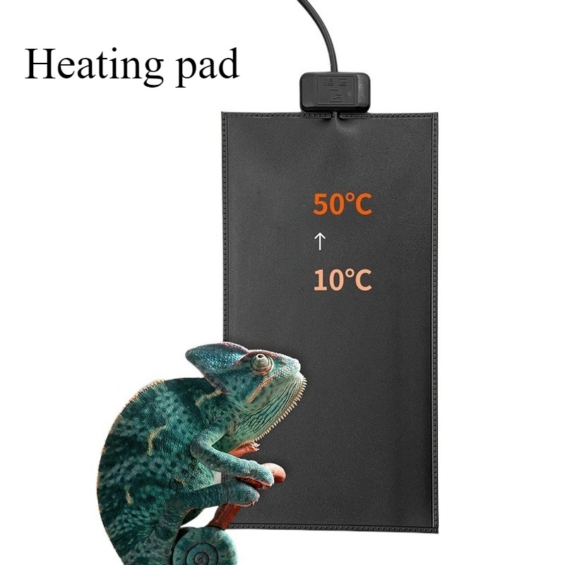 Winter Schildkröte Aquarium Is – Pet Supplies Uk Bewertung und Preis